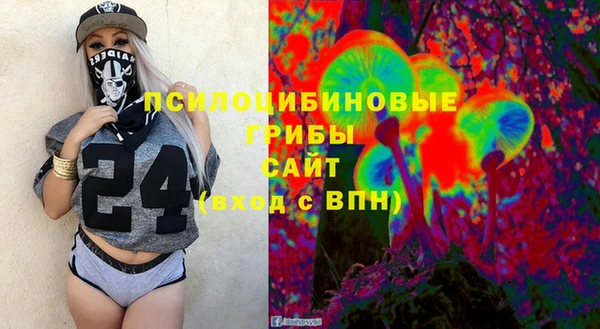 соль ск Алексин
