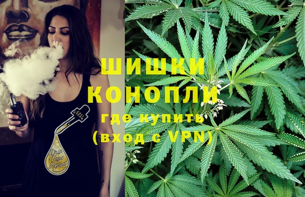 МДПВ Алзамай