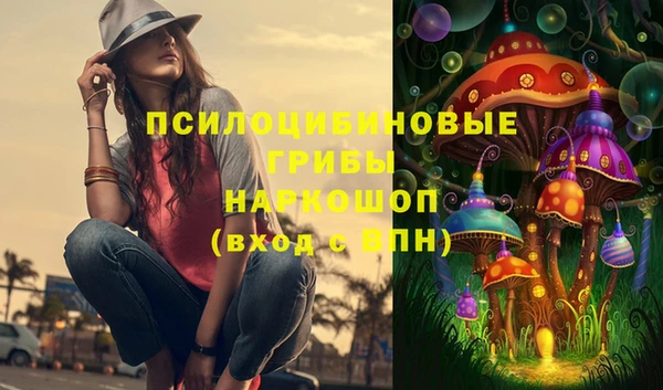 МДПВ Алзамай