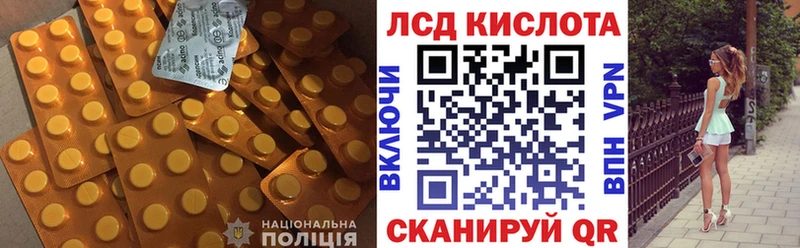 ЛСД экстази ecstasy  даркнет сайт  Приозерск 